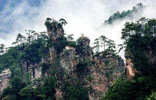 張家界旅游好時(shí)機(jī) 找導(dǎo)游純玩不跟團(tuán)不購(gòu)物