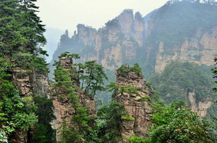 為什么張家界森林公園要玩兩到三天 怎么找自助游導(dǎo)游