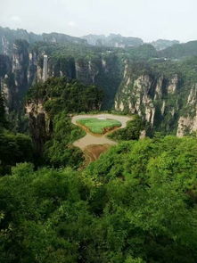 張家界當(dāng)?shù)乜诒畬?dǎo)游多少錢一天,可以定制純玩路線嗎