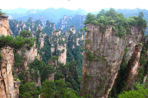 張家界私人定制小包團(tuán),一定請(qǐng)口碑好的導(dǎo)游 