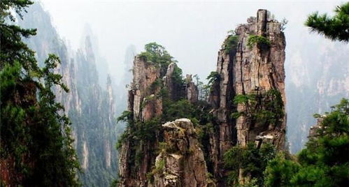 張家界游玩需要請(qǐng)導(dǎo)游嗎 找自助游導(dǎo)游純玩不購(gòu)物