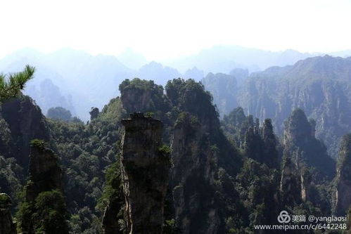 魅力無限的張家界