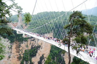 張家界導游推薦,張家界行程如何安排最合適