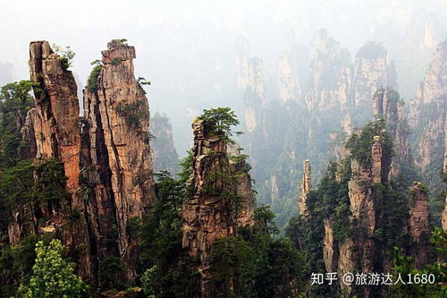 2021張家界旅游攻略大全 最全面 最實在篇