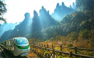 張家界導游陳妹子暑假推薦適合老人兒童游玩張家界景點