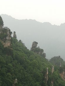 在張家界怎么自助游呢,張家界旅游如何選擇導(dǎo)游,張家界經(jīng)典精華景點(diǎn)又有哪些