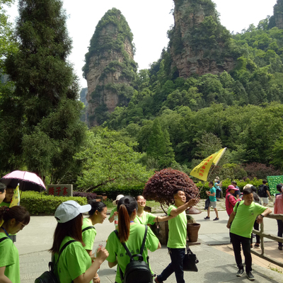 張家界旅行社口碑導(dǎo)游多少錢一天呢!