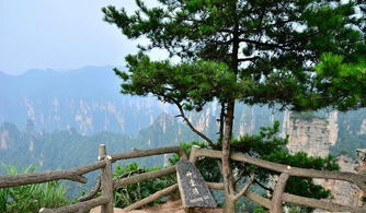 張家界23年當(dāng)?shù)貙?dǎo)游推薦,張家界 鳳凰精品攻略