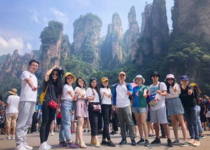 接待客戶去張家界旅游,如何安排最合適