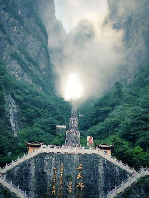 張家界旅游攻略五日游 超實(shí)用的攻略,帶你玩遍張家界