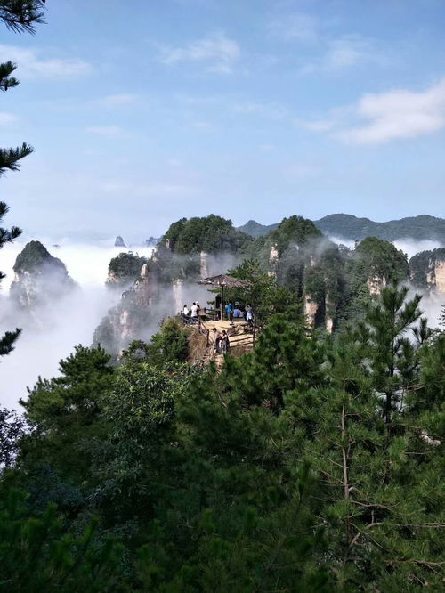 北京去張家界自駕車怎么走,美女導(dǎo)游推薦自由行線路