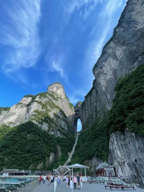 張家界關停所有景區,待業中的當地導游怎么樣了