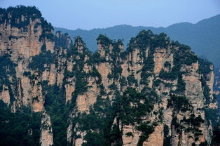 張家界暑假導游如何收費 張家界自駕游導游推薦優秀美女靠譜導游 旅游攻略