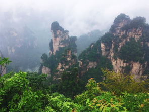 張家界正規向導張家界秦阿妹