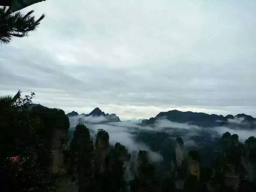 標題 找張家界導游電話好,還是問張家界號碼好