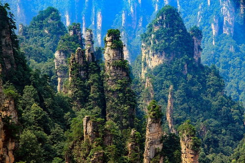 張家界旅游攻略,去張家界自由行怎么玩有必要請導游嗎