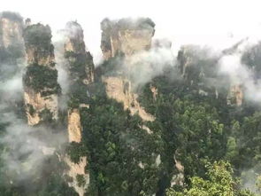 來張家界找個自助游導游帶我們玩