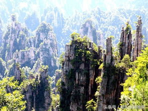 推薦張家界最好玩景點,推薦張家界口碑最好導游