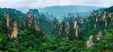 張家界導游多少錢一天 可以提供哪些服務