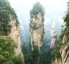 張家界美女導游 每年接待 3.6萬旅客 2300條好評 真正口碑好的俱樂部