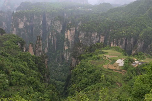 誰能給我提供一個張家界當地導游的聯系方式,要有責任心的