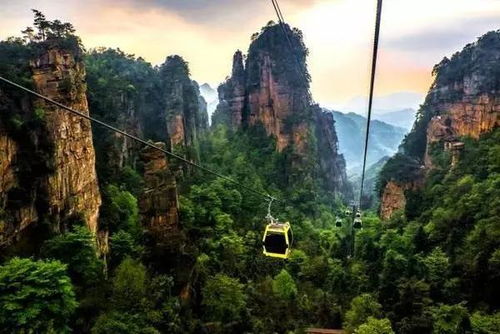 來張家界請自助游導游 純玩 不購物 不進店 無任何強制性消費