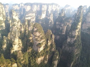 張家界優秀導游電話,邂逅不期而遇的美好
