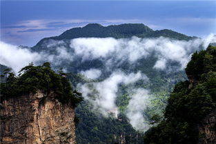張家界旅游碰到還能玩嗎 找導游純玩看云海