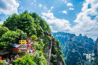 來張家界請當地導游 純玩 不購物 不進店 導游風采