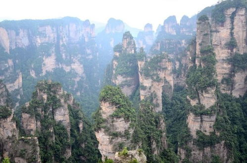 張家界旅游攻略 張家界旅游 張家界當地向導導游推薦