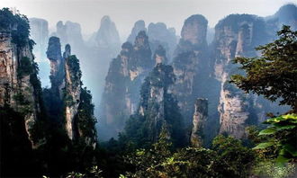 張家界旅游導游怎么請 多少錢一天,價格低高品質