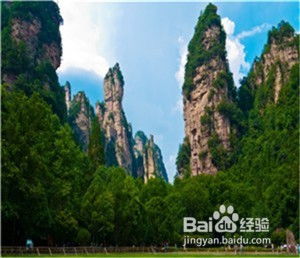 到張家界旅游多少錢 張家界怎么請(qǐng)正規(guī)導(dǎo)游 攻略