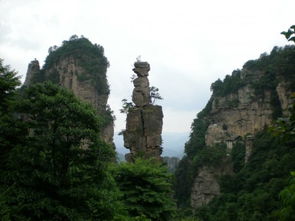 張家界自助游導(dǎo)游溫馨提示