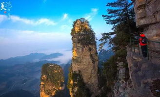 張家界導(dǎo)游推薦 你沒見過的峰墻奇觀楊家界