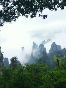 張家界自駕游導(dǎo)游 當(dāng)?shù)貙?dǎo)游電話 單請(qǐng)導(dǎo)游服務(wù)