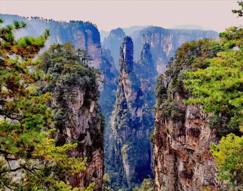 張家界自助游導(dǎo)游 有問(wèn)必答 口碑好的導(dǎo)游介紹張家界旅游攻略