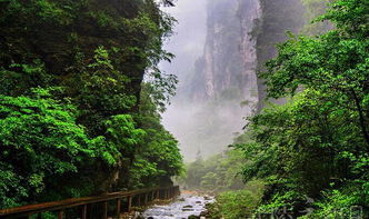 張家界導(dǎo)游 自由行 當(dāng)?shù)貙?dǎo)游 專業(yè)服務(wù)