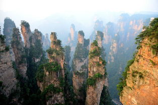 張家界錦晴旅游,提供口碑導(dǎo)游,純玩 不購(gòu)物