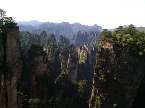 張家界導(dǎo)游服務(wù) 找靠譜導(dǎo)游