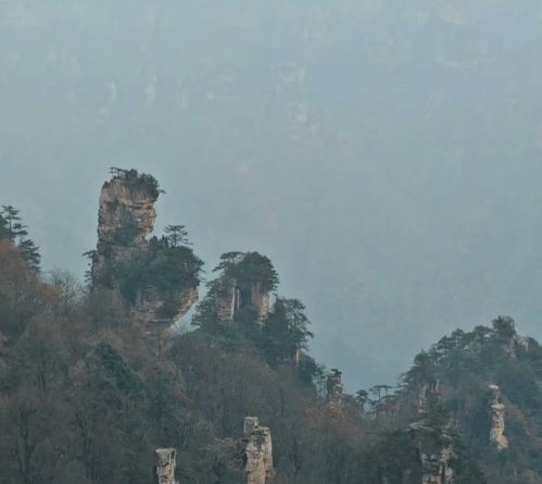 張家界專業策劃導游四日行程分享,獨自去張家界豪華4日游全攻略