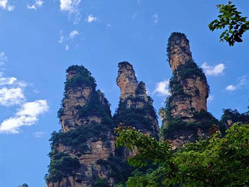 張家界2025最新避坑指南 森林公園 苗寨路線,網友推薦導游 費用