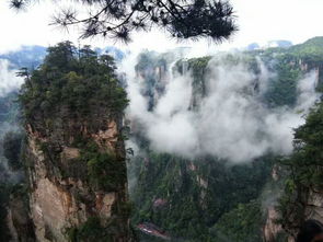 北京去張家界自駕車怎么走,美女導游推薦自由行線路