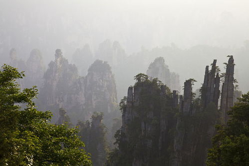 公眾平臺 張家界美女導游帶你玩那些景點 純玩攻略