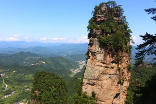 張家界小包團自由行 口碑好導游 游客朋友們