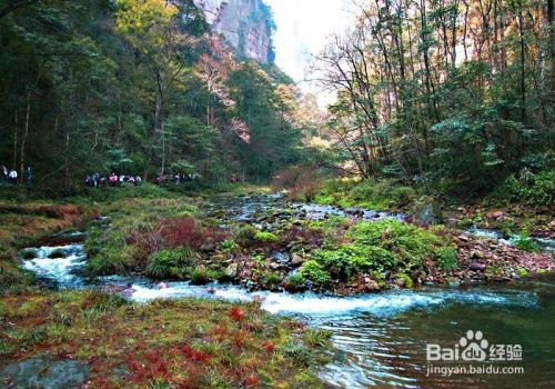 去張家界旅游找口碑 信譽好的導游