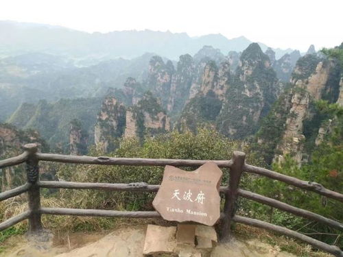 張家界導游帶你一覽張家界奇峰秀水,值得擁有的美女導游