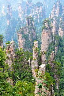 張家界自由行 導游張家界奇山精華