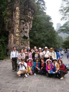 張家界美女導游推薦 自助游自駕游精品線路攻略