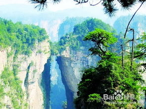 張家界自由行導游