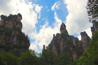 張家界主景區導游推薦,哪些景點請導游好